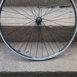 Bike Tire 