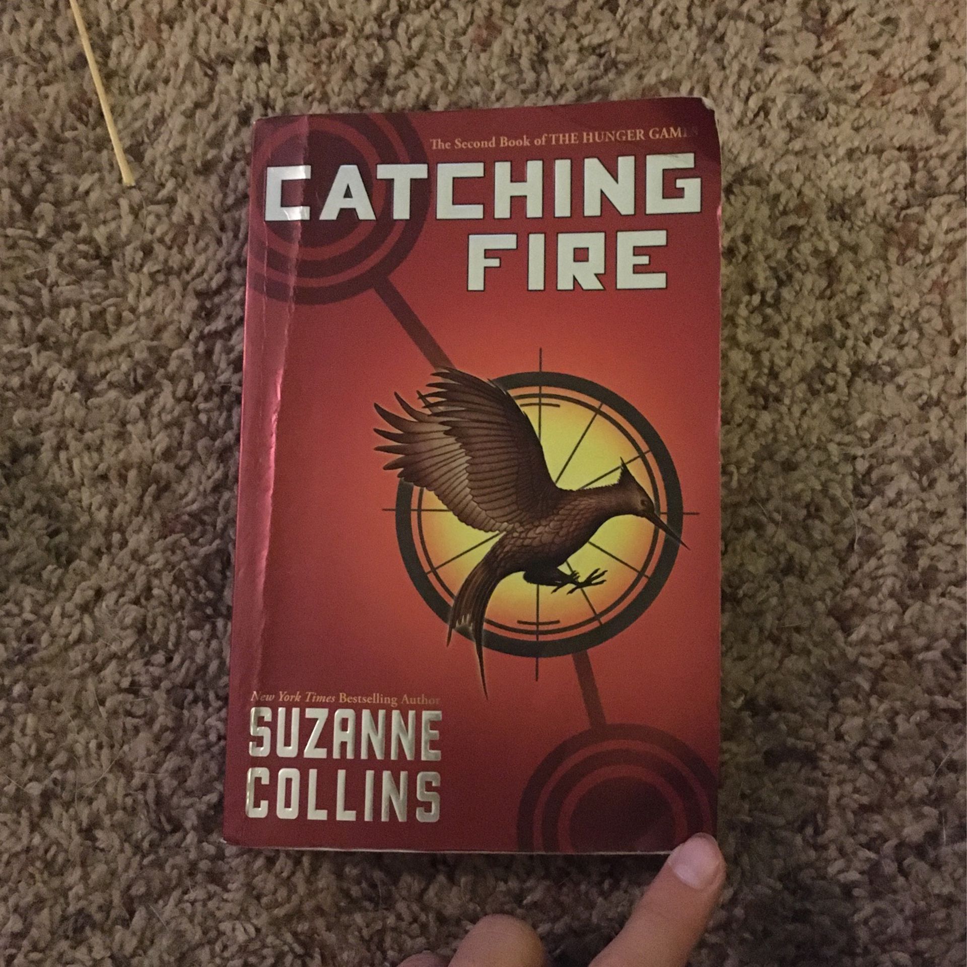 Catching Fire (book)