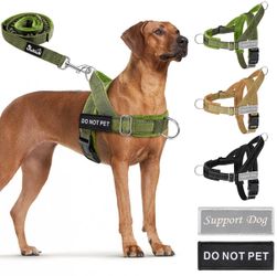 Harness and Leash Large