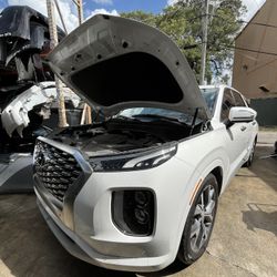 OEM Part 2020 2021 2022 PALISADE 3.8L PART OUT