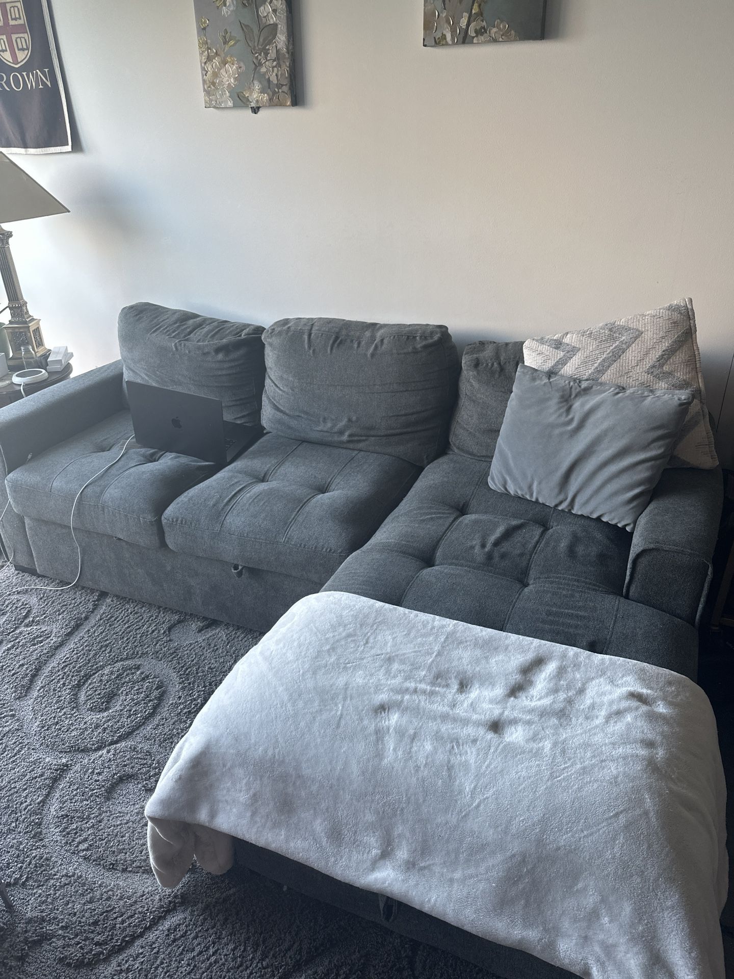 Pull Out Sectional Sofa
