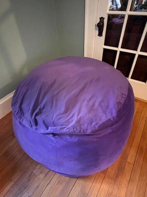 Beanbag Chair #1!