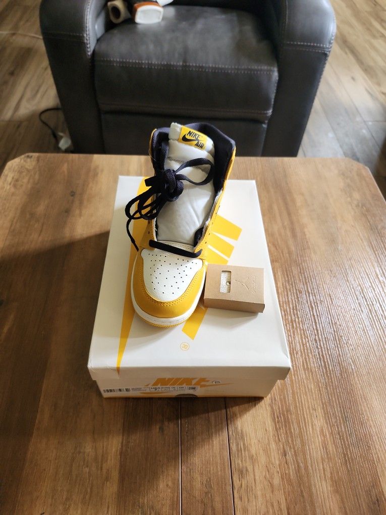 Brand New Air Jordan 1 Retro