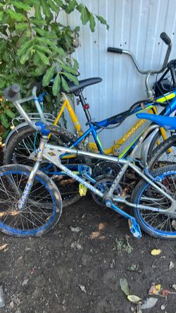 Bicycle