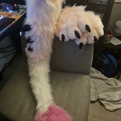 Dutch Angel Dragon Fursuit Tail and Handpaws