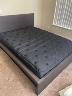 NEW Mattresses! 