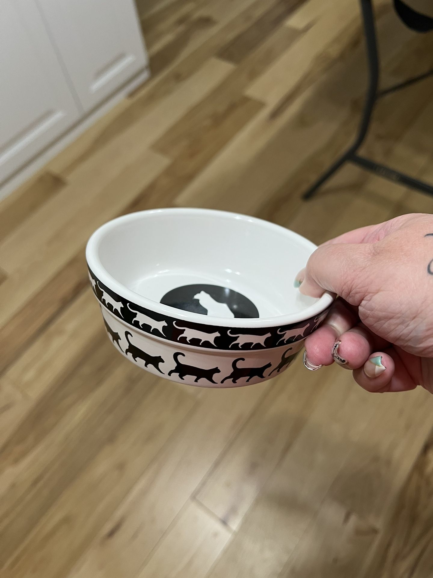 Cat Food Bowl And Mat