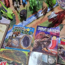 Dinosaur Lot