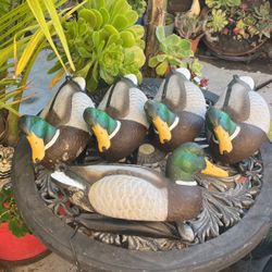 Mallard Drake Decoy Ducks
