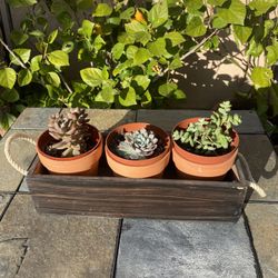 Wooden Planter