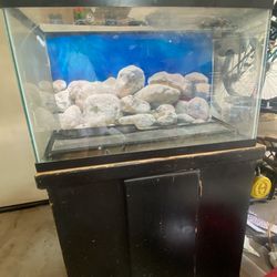 fish tank and base 