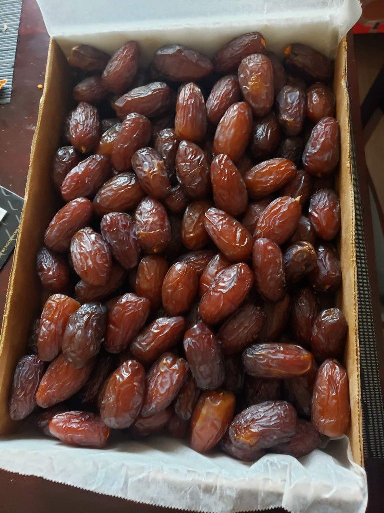 Datil