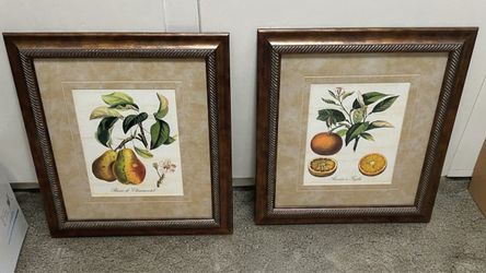 Botanical Fruit Framed Prints Set of 2