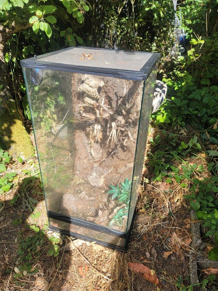 Reptile Enclosure