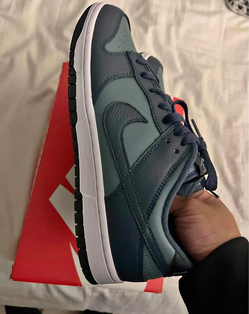 Nike dunk size 10