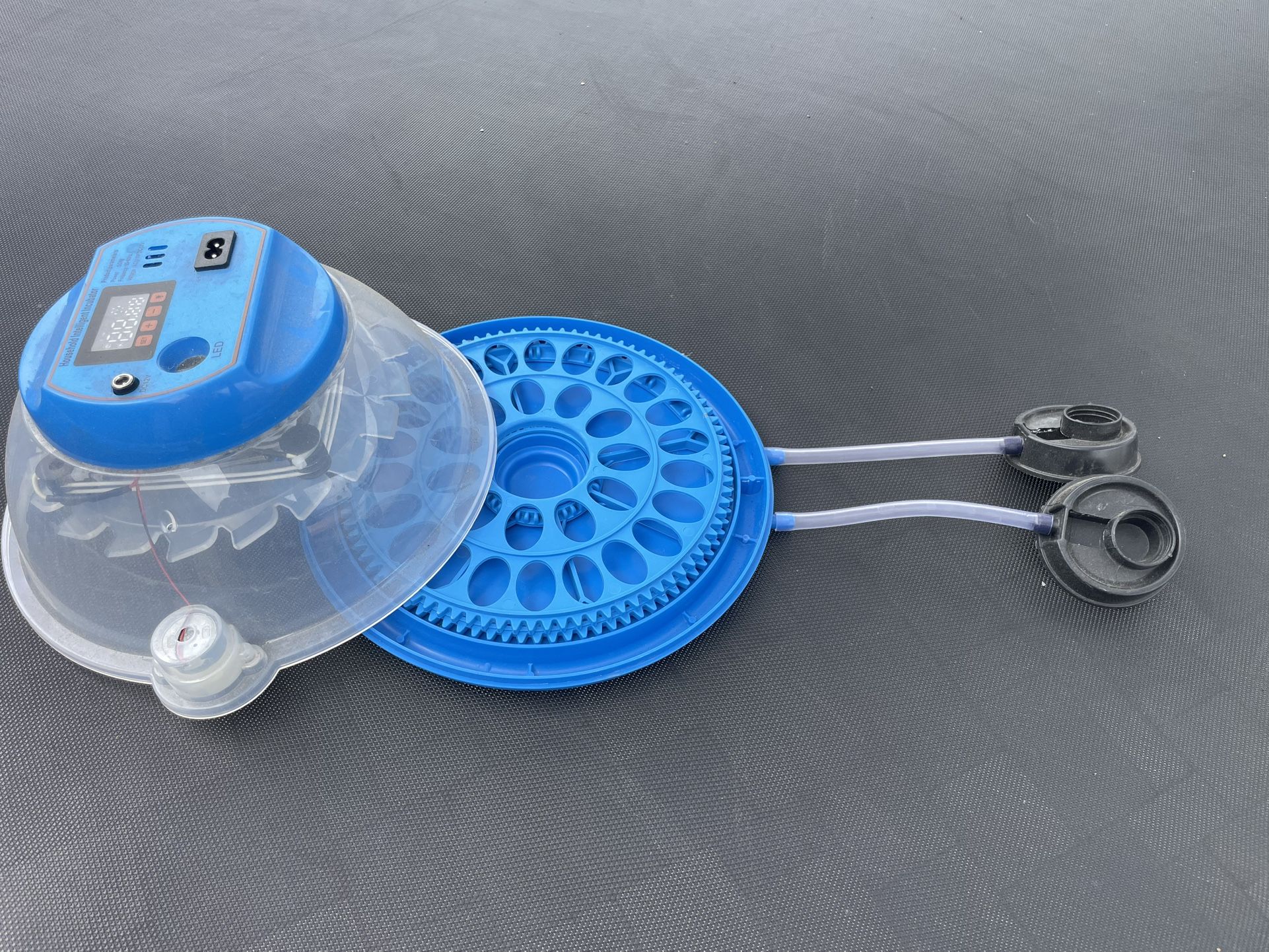 Egg Incubator