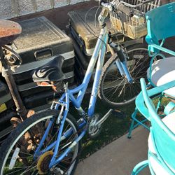 Schwinn Bike