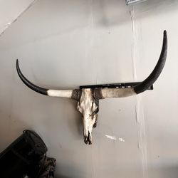 Man Cave Decorations 