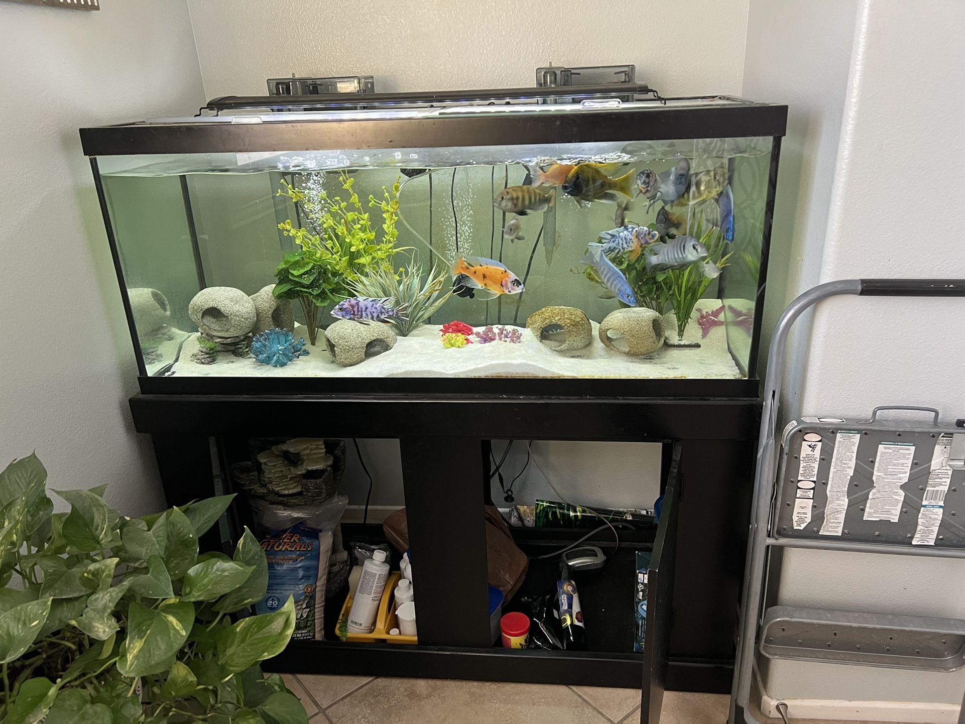 75 Gallon - 10 Fish -Tank W/ Stand And Xtra Accessories 