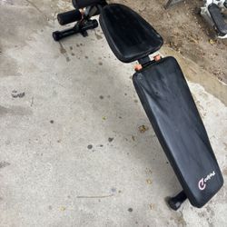 Bench Weight 