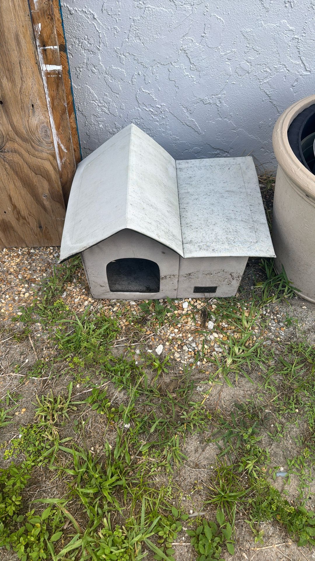 Cat House