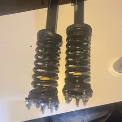 Loaded Strut Assembly