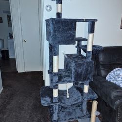 Cat Tree And Carrier 