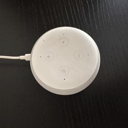 Echo Dot
