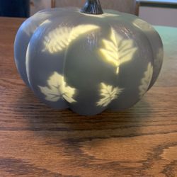 Pumpkin 🎃 