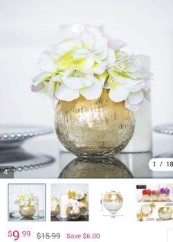 Glass Vase