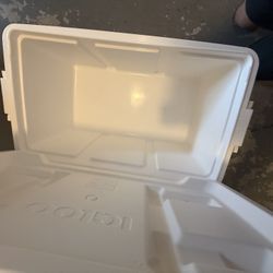 Igloo Cooler 