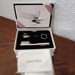 Pandora Cleaning Kit
