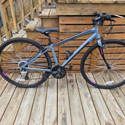 Nishiki Bike (new condition)