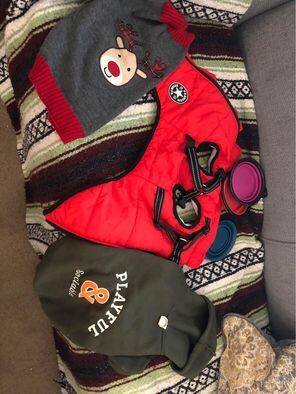 Great Pet Clothing