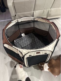 Puppy tools