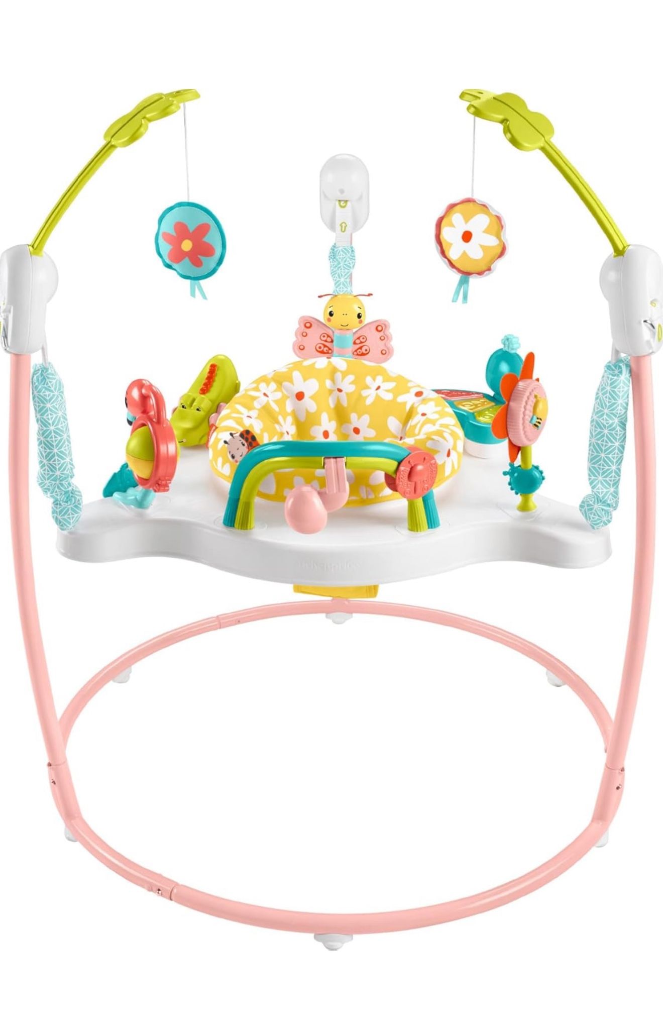 Fisher-Price Baby Bouncer