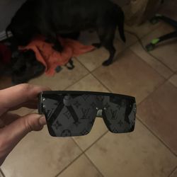 LV Waimea Sunglasses