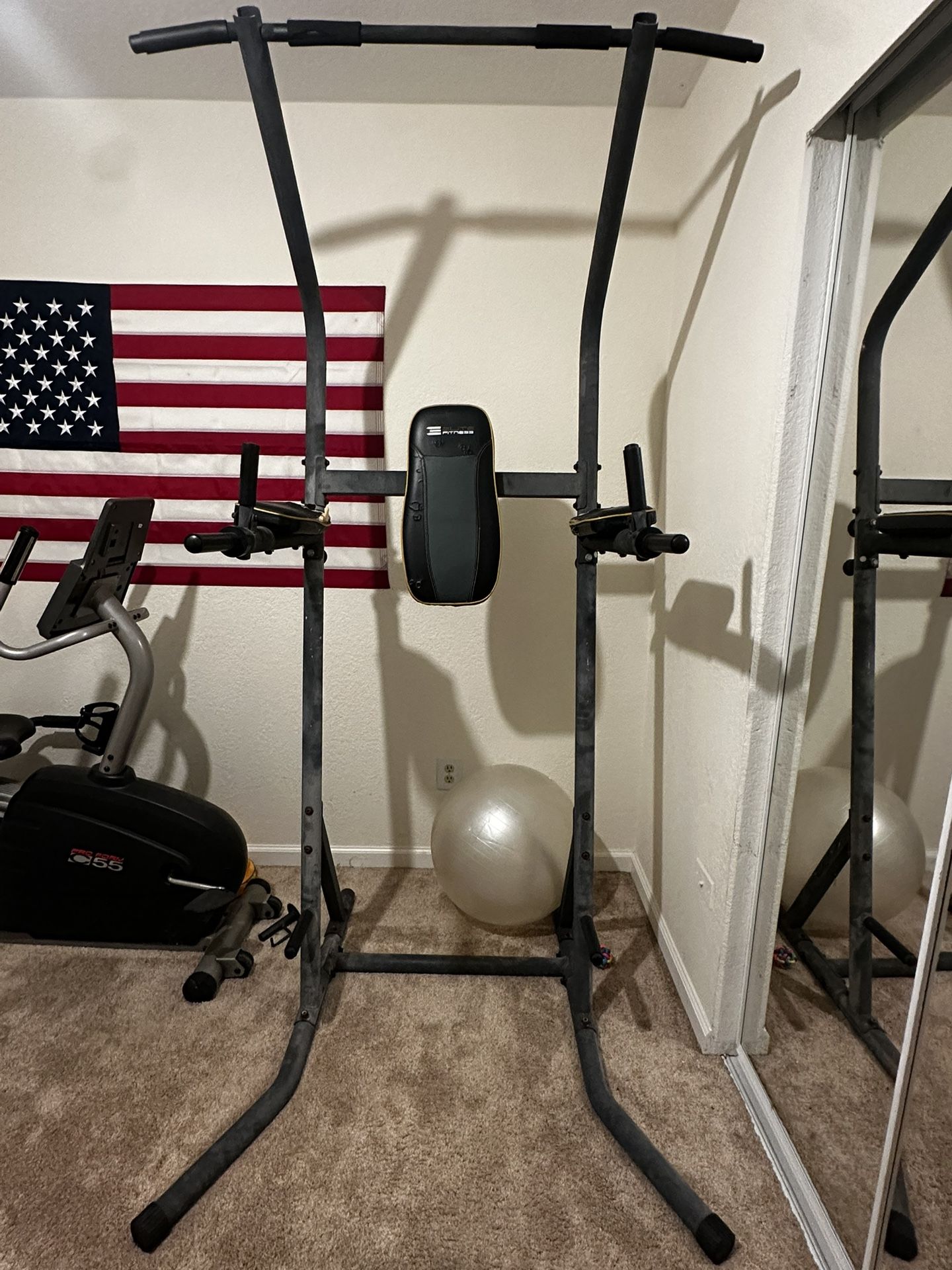 Elite Pro Dip Leg Raise Station