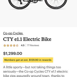 REI CTY 1.1 e Bike