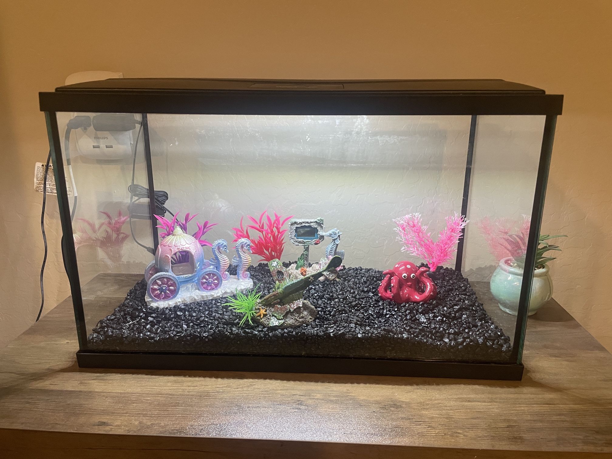 Top Fin Essentials 10 Gallon Aquarium w/ Accessories and More