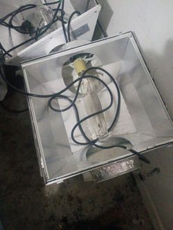 Hydroponic lights