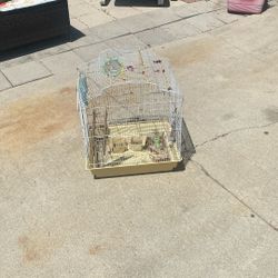 Bird Cage 