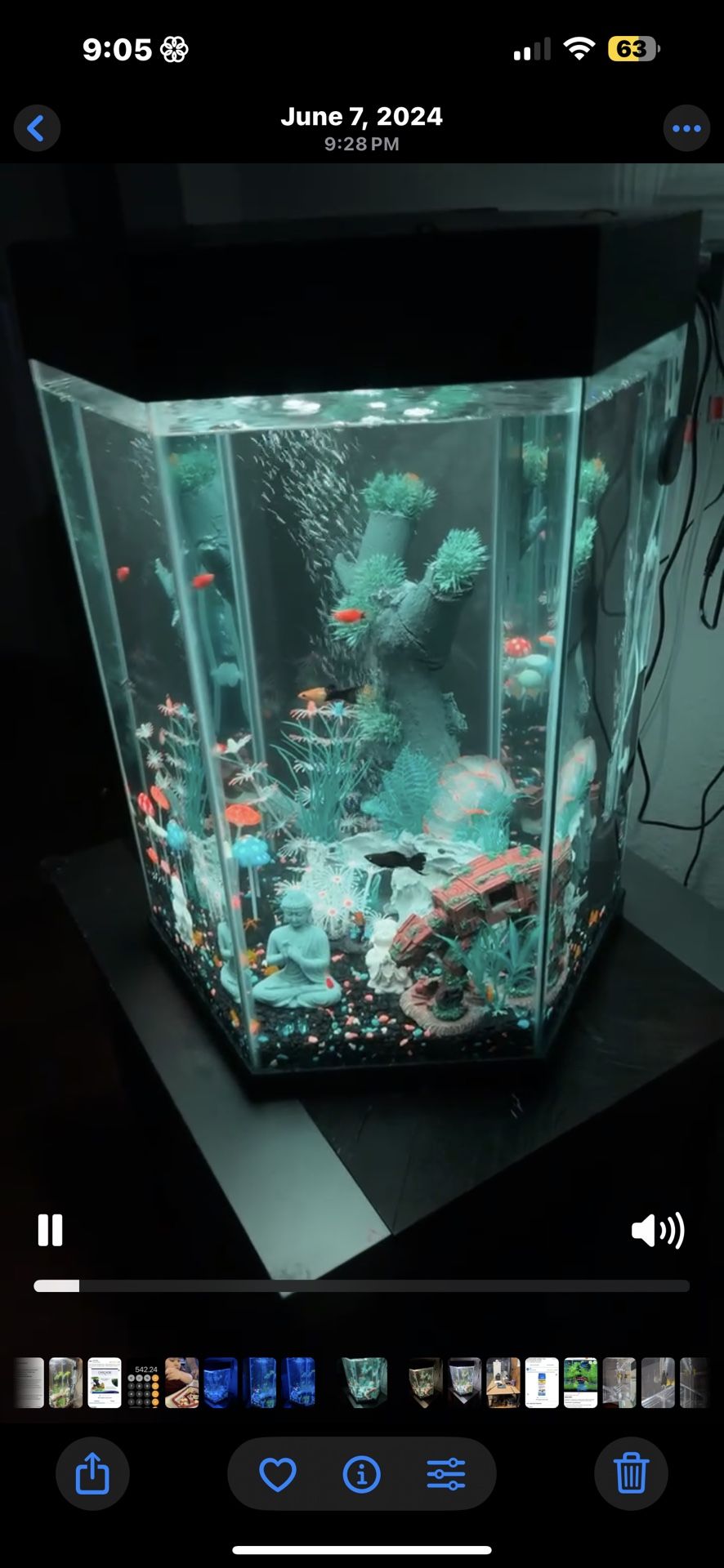 20 Gallon Aquarium