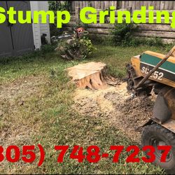 Stump Grind