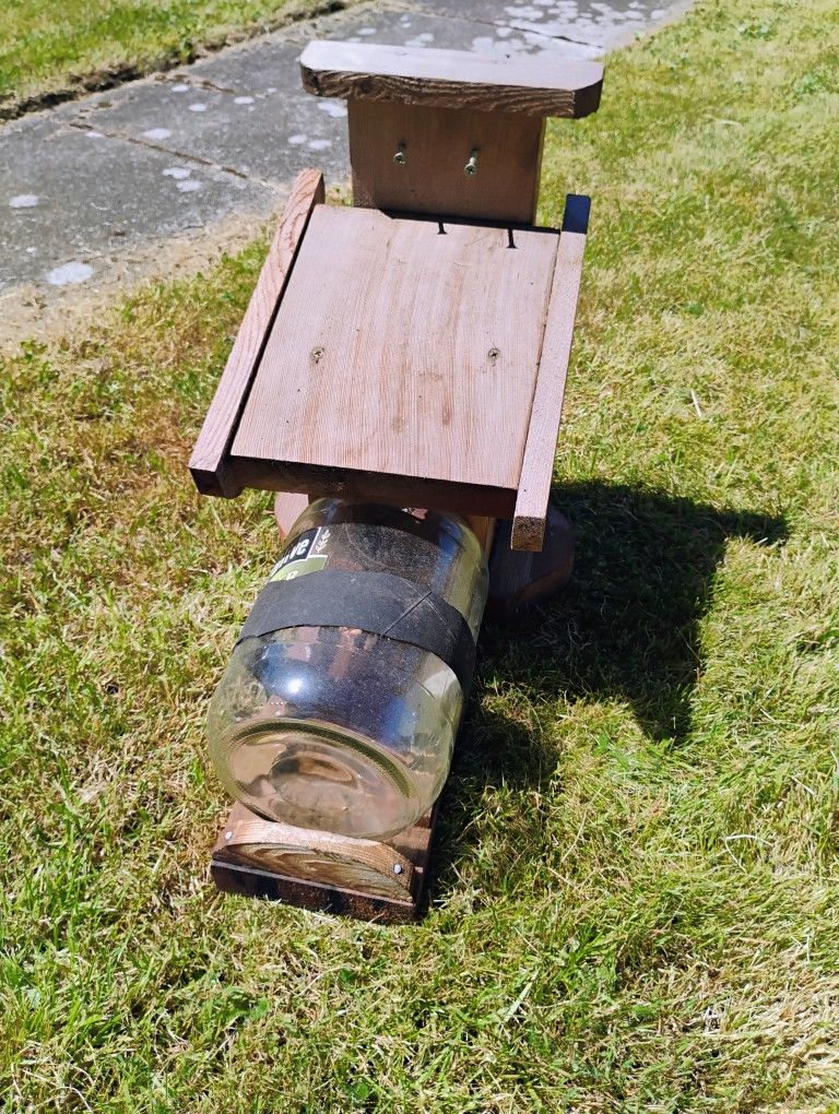 Squirrel/Bird Feeder
