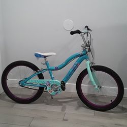 Schwinn Kid Bicycle 20"