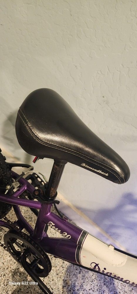 diamondback tess 20 manual