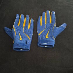 Pitt Gloves 