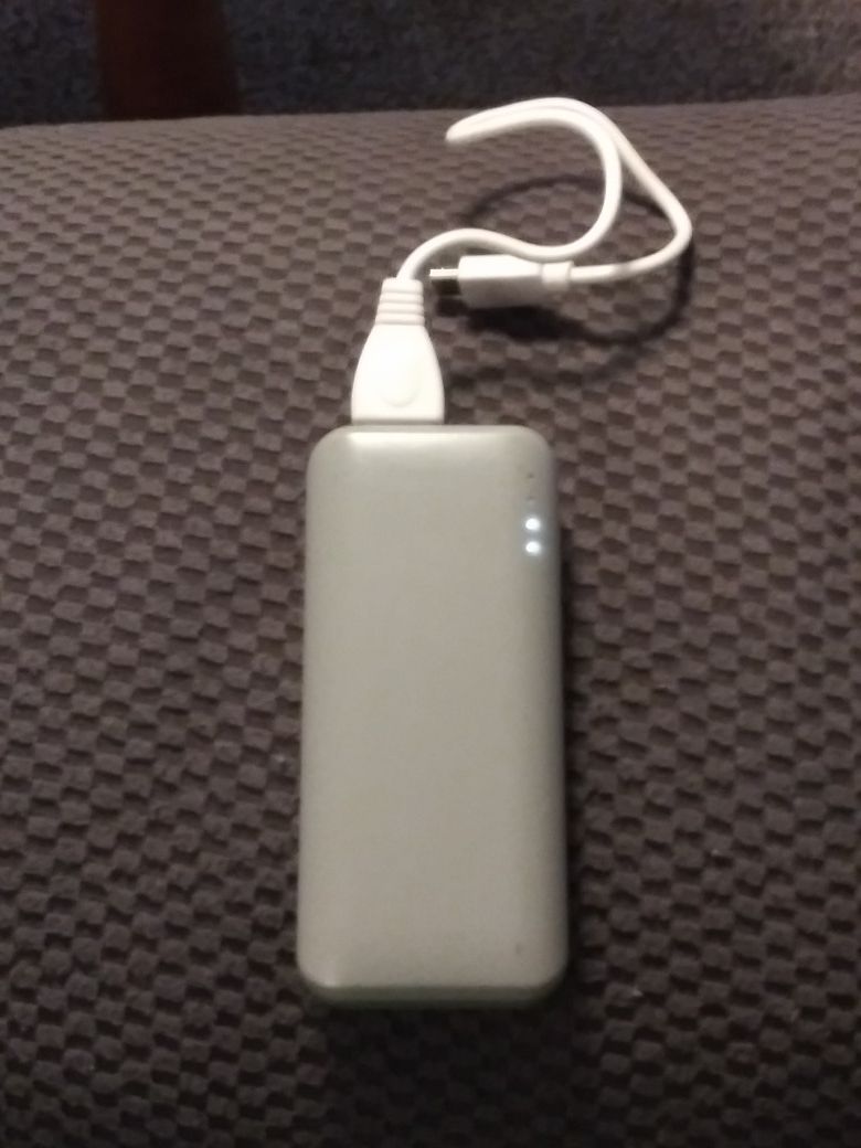 Portable battery charger