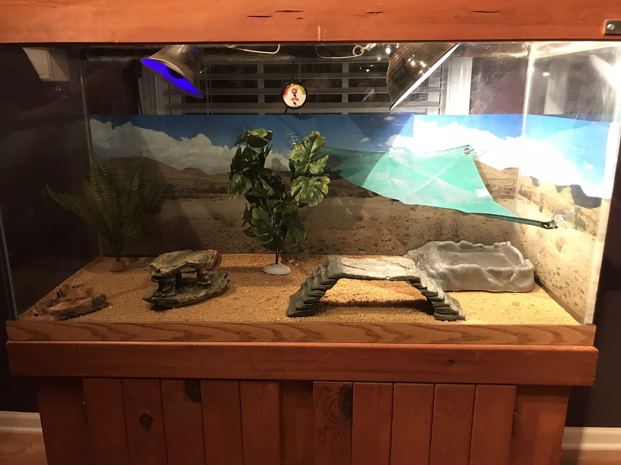 100 Gallon Custom Fish/Reptile/Snake/etc Tank